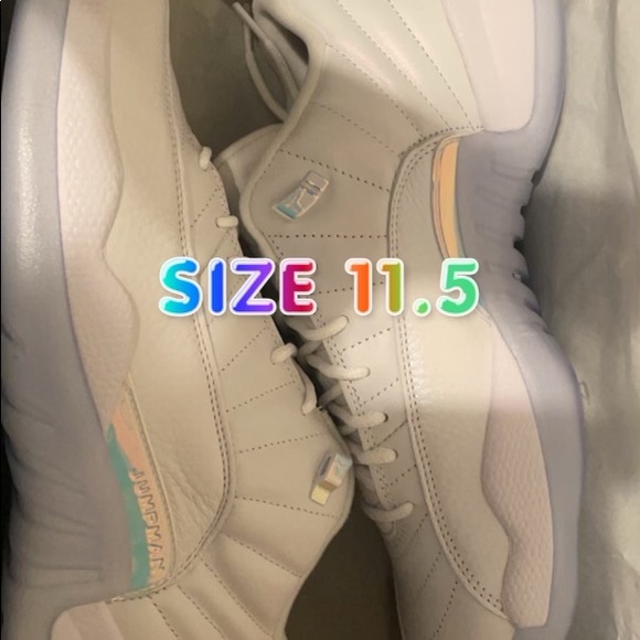 Jordan Other - Air Jordan 12s low top grey and white